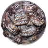 Nuts for wellness Set of six wellness combo pack packages 500g Glass bowl filled with dried dates on a white background